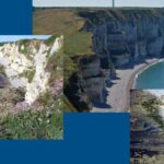 plage-gay-tilleul-antifer