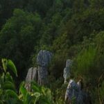 mont-joly_gn