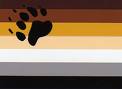 bear_gay