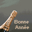 4106-bonne-annee-20060614