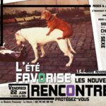 artimage_392094_0_201205311125727