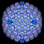 herpes-virus