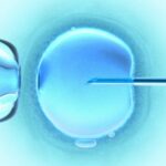 gpa-pma-cellule