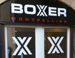 boxer-montpellier