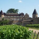 chasselas-gay3
