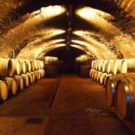 chasselas-gay7