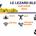 lezard-bleu-id2