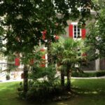 roseaux-sauvages-gay1