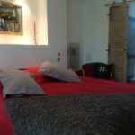 roseaux-sauvages-gay9