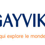 logo-gayviking-noel2