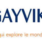 logo-gayviking2016
