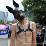 gaypride-csd-2017-berlin33