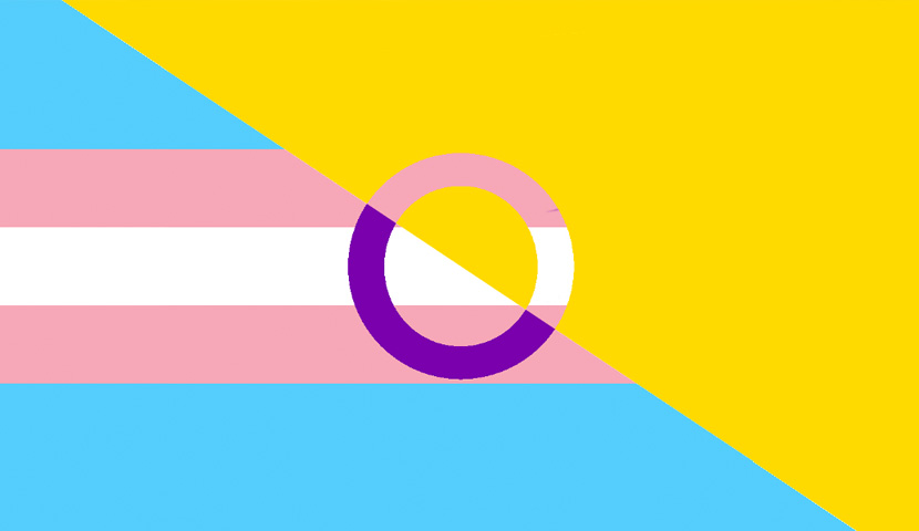 drapeau - Normandie : création d’un groupe d’entraide transgenre et intersexe