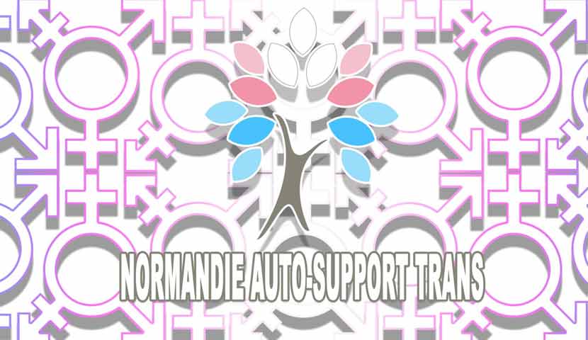 Normandie auto support trans