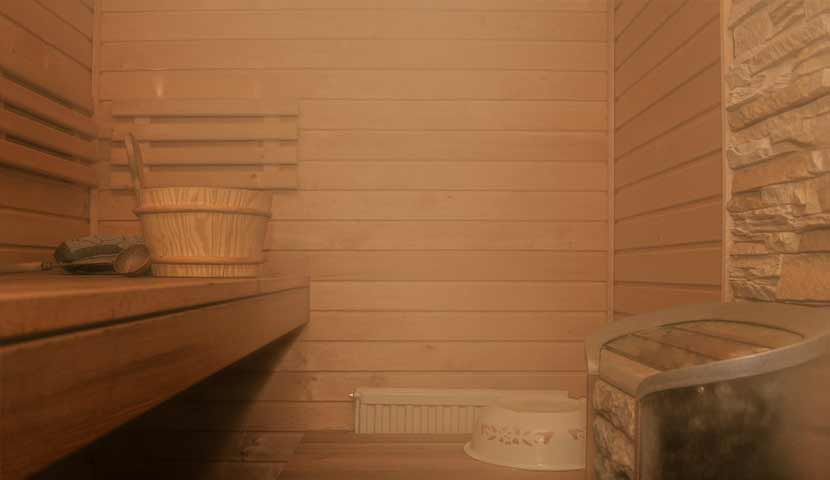 Sauna gay