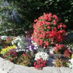 le-clos-des-oliviers-gay-10