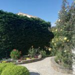 le-clos-des-oliviers-gay-7