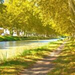 canaldumidi