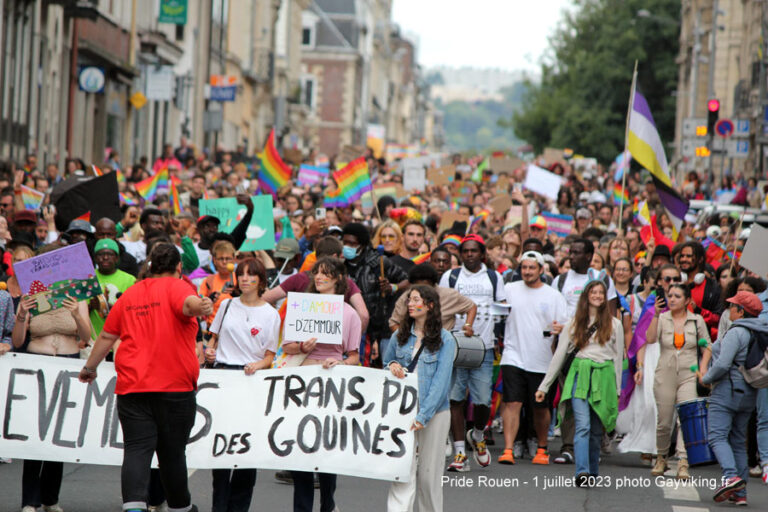 rouen-la-pride-a-rassembl-3000-personnes-photos-gayviking