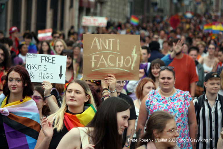 rouen-la-pride-a-rassembl-3000-personnes-photos-gayviking