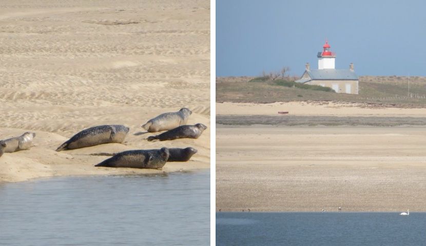Manche mer Regnéville