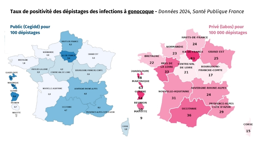gonocoque en région 2024