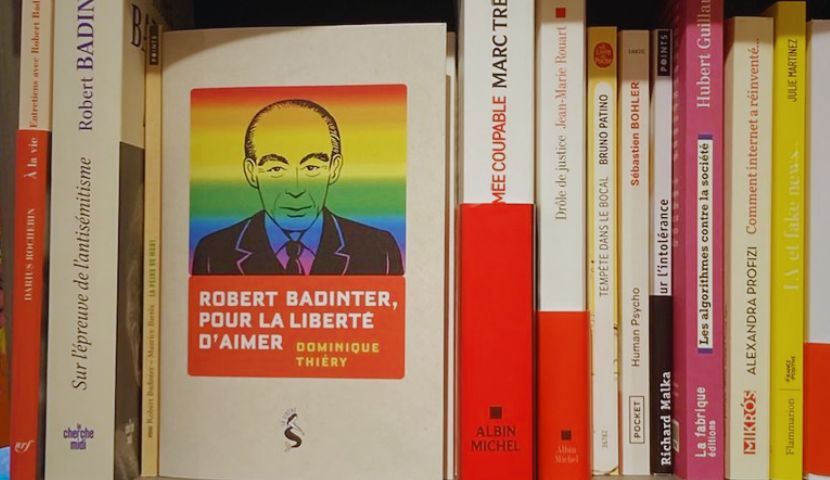 Livre LGBT Gayviking Badinter